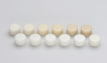 IPS Empress Esthetic Ingot E O 5pcs